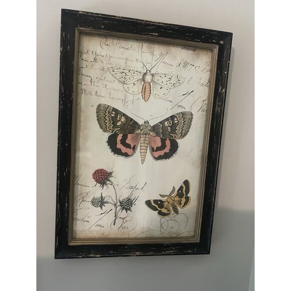 Butterfly Print in Frame Boho Print Home Decor 13 x 9 Black Aged Brown Bug Moth - Picture 1 of 6